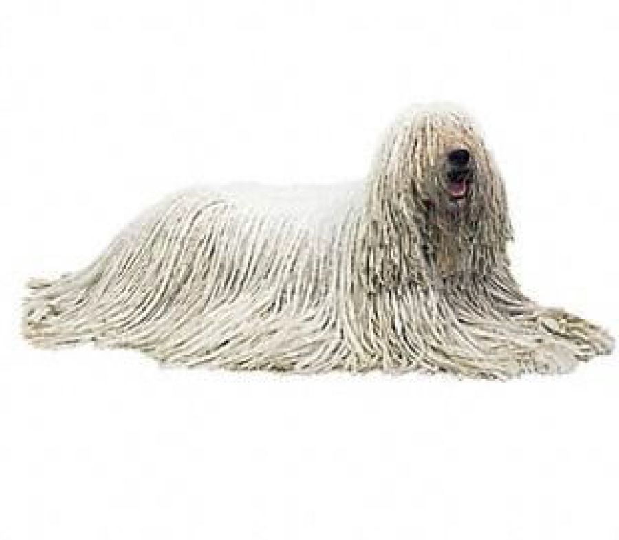 Immagine di copertina dell'articolo