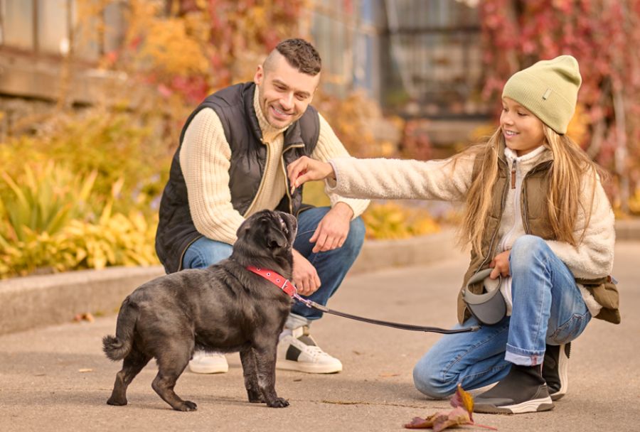 Immagine di copertina dell'articolo