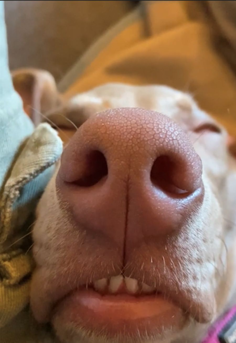 Immagine di copertina dell'articolo