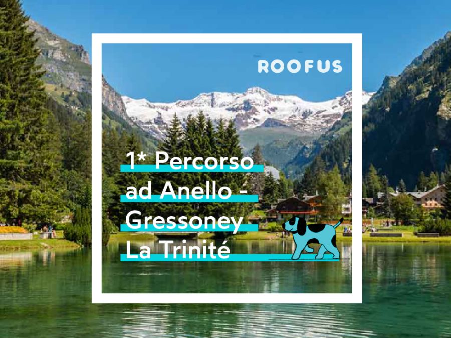 Primo Percorso Ad anello Gressoney La Trinit&eacute;