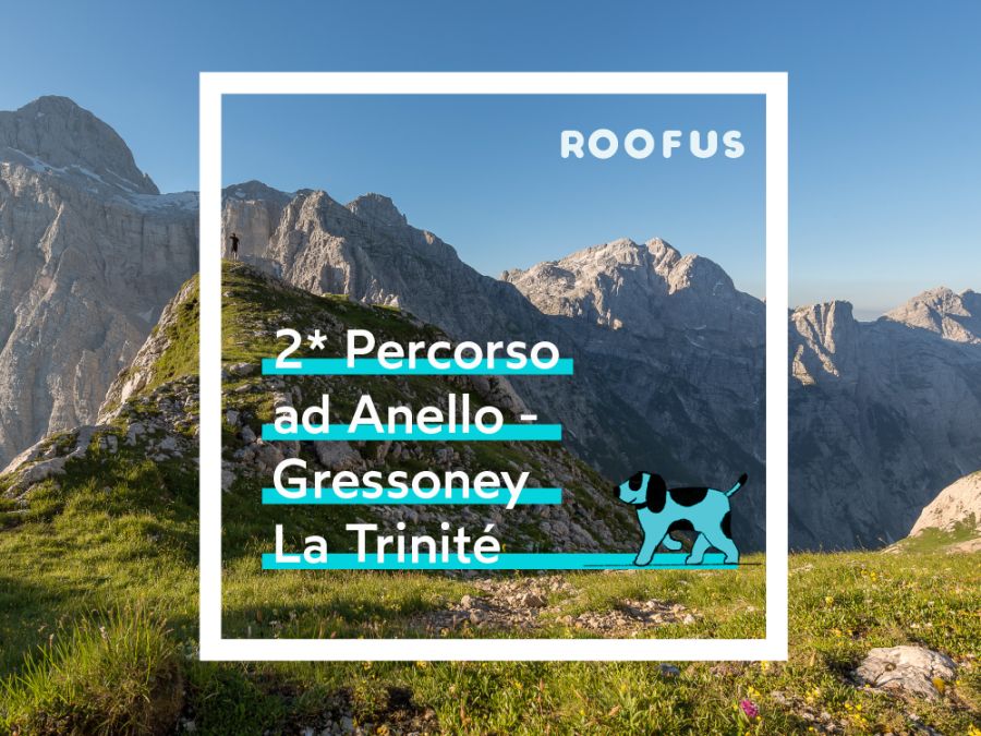 Secondo percorso ad anello Gressoney La Trinit&eacute;